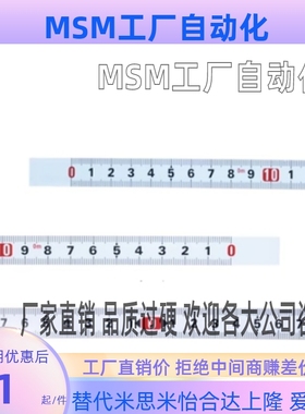 BLP01/02/07/09-L20/L30/L40/L50/L60/L100/L120~L599刻度尺横向