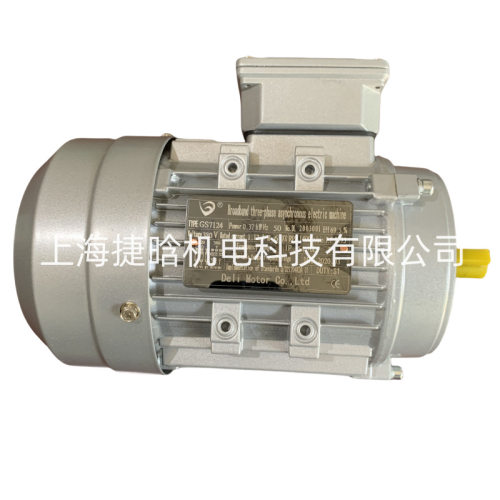 THREE PHASE 三相异步电动机 YS90S-6 0.75KW DELI铝壳电机