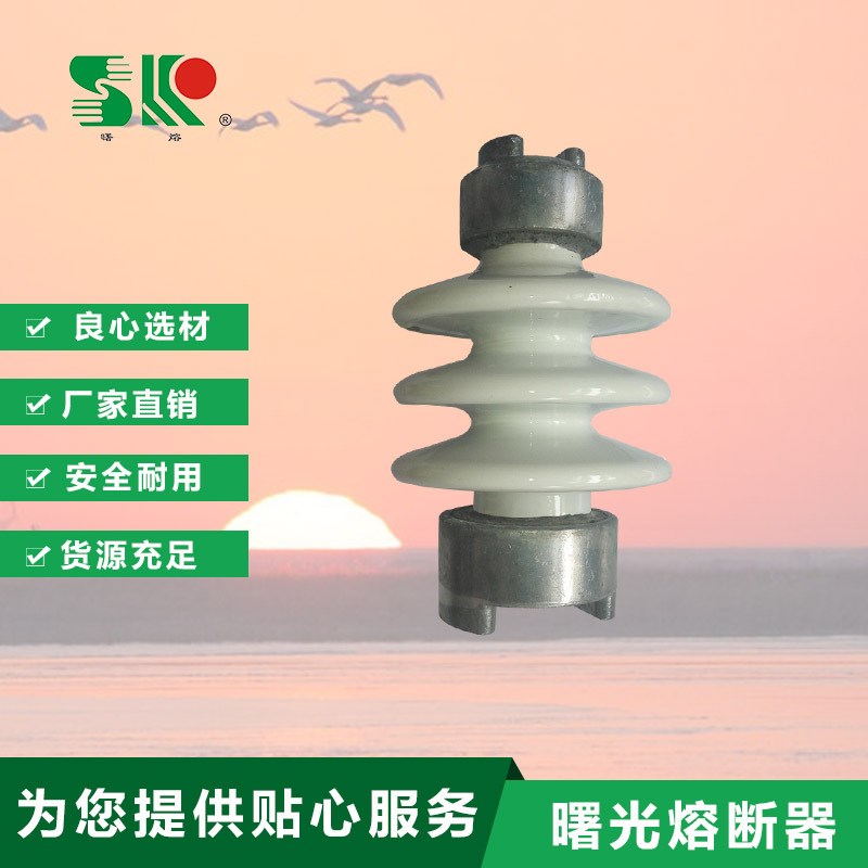 C4-80曙光出口俄罗斯 支柱 高压绝缘子C4-80 瓷瓶ZA-6 ZL-10/8等