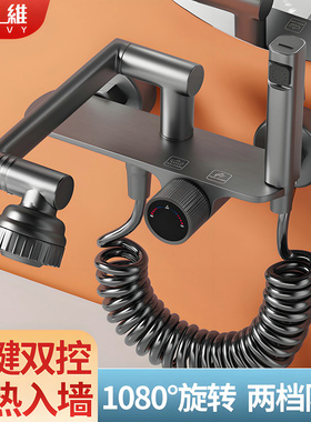 枪灰色冷热入墙式厨房拖把池阳台洗衣池水槽水龙头二合一头带喷枪