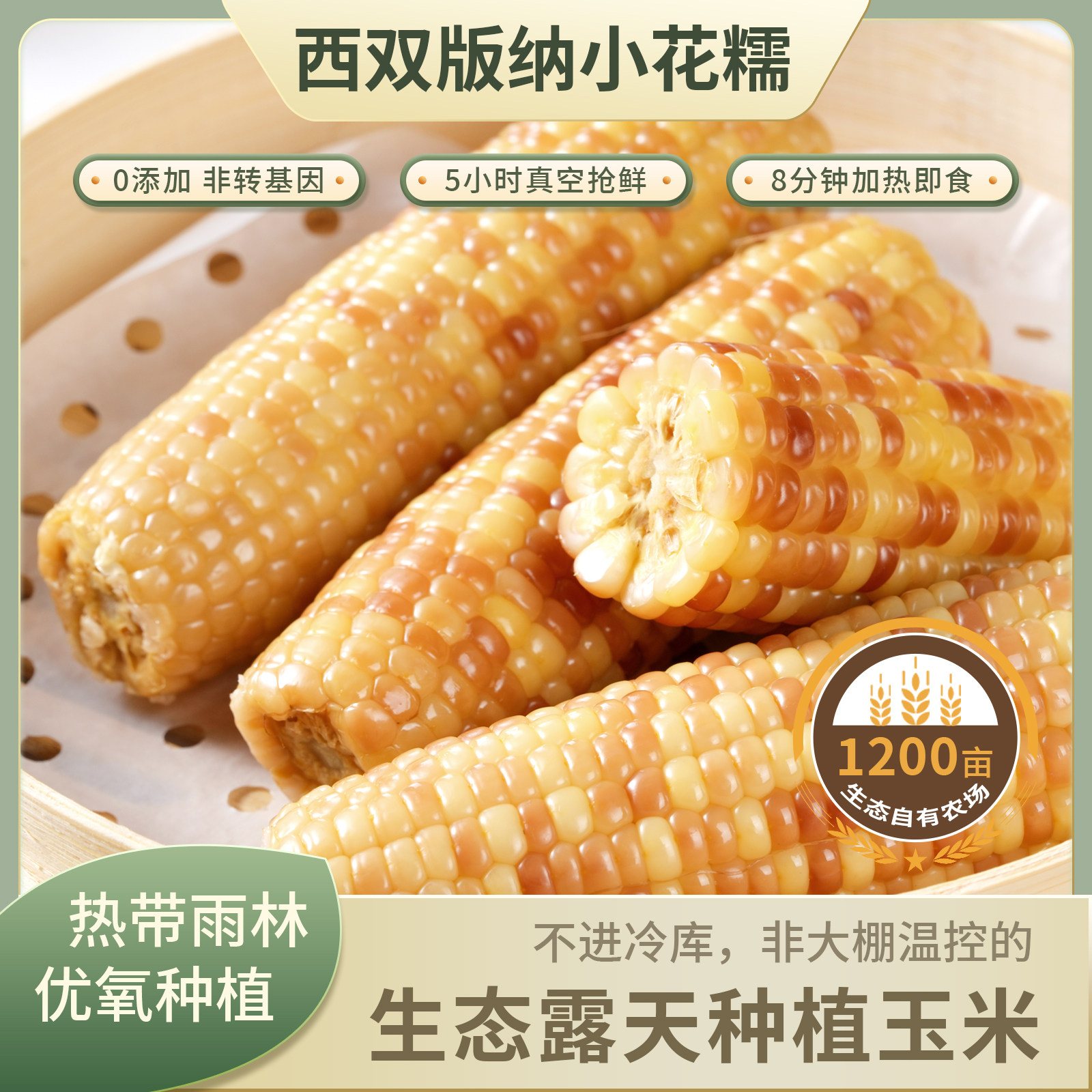 傣小糯新鲜西双版纳香糯小花糯包谷玉米棒真空装非转基因低脂粗粮,粮油调味/速食/干货/烘焙,玉米,淘宝优惠券,粉丝福利购,淘宝优惠卷
