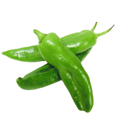 螺丝椒线椒尖椒杭椒牛角椒朝天椒