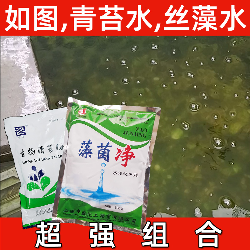 除藻剂鱼池除藻去苔剂去绿藻除丝藻蓝藻分解酶池塘除绿水水绵净