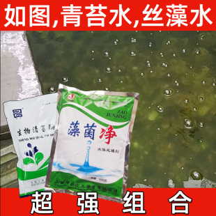 除藻剂鱼池除藻去苔剂去绿藻除丝藻蓝藻分解酶池塘除绿水水绵净