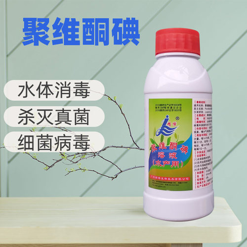 池塘消毒杀菌鱼池锦鲤