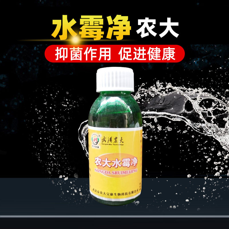 农大水霉净水产养殖抑制溃烂鳃霉肤霉烂身白毛真菌克星池塘鱼池