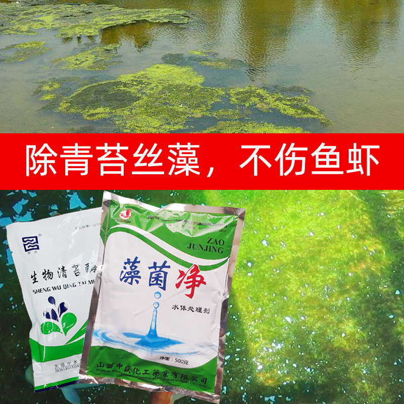 池塘除藻去苔剂除水绵鱼池除藻剂丝藻克星青苔净分解酶处理绿水