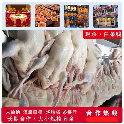 现杀鲜鸭！肉质紧实不柴，