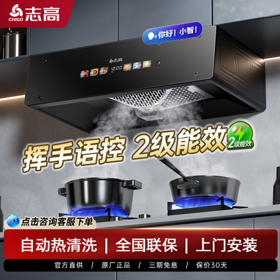 志高抽油烟机家用厨房大吸力中式欧式吸油机自动清洗出租房油烟机