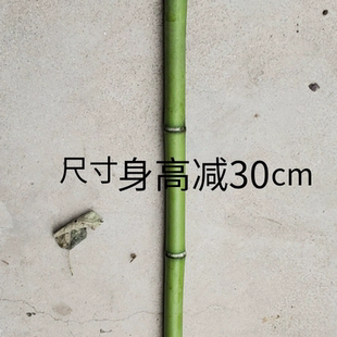 竹棍天然轻便爬山手杖竹拐杖拐棍竹登山棍登山杖手杖手工拐杖竹头