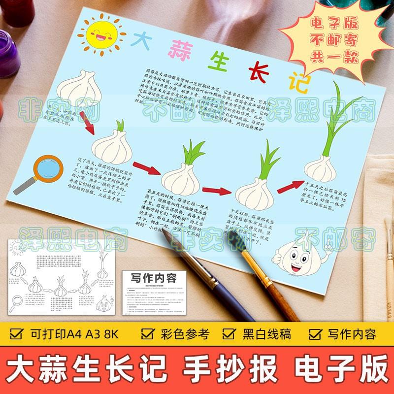 大蒜生长记手抄报模板小学生观察植物蔬菜大蒜生长记录日记表线稿