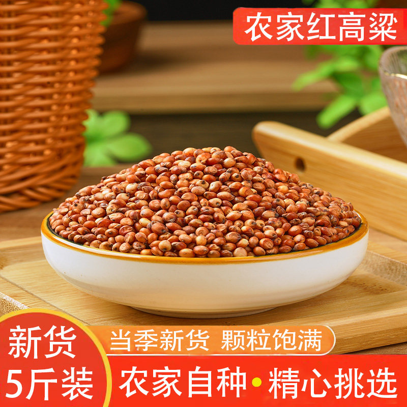 带皮红高粱新货酿醋鸽子酿酒