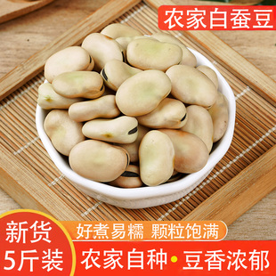 白蚕豆云南农家新豆白皮蚕豆大粒生蚕豆炖汤食材煮粥新鲜胡豆