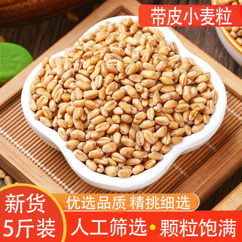 带皮小麦粒农家自产新货喂鸽喂鸡磨面颗粒大颗粒小麦米五谷杂粮