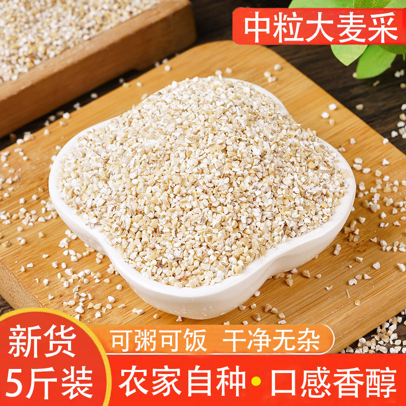 中大麦新货采饱满无杂粗粮麦子图片