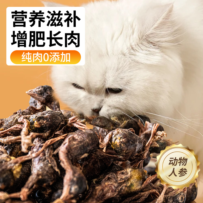 鹌鹑冻干宠物猫咪零食食增肥营养