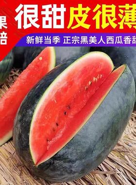 不熟包赔】正宗黑美人西瓜超甜薄皮现摘应季非无籽麒麟瓜新鲜水果