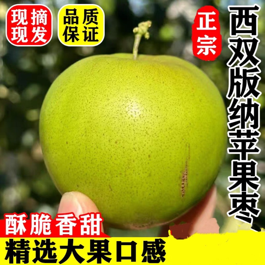 云南西双版纳苹果枣正宗云南苹果枣当季新鲜孕妇水果纯甜不酸酥脆,水产肉类/新鲜蔬果/熟食,枣,淘宝优惠券,粉丝福利购,淘宝优惠卷