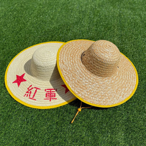 麦秆草帽农民老式防晒大檐草帽子