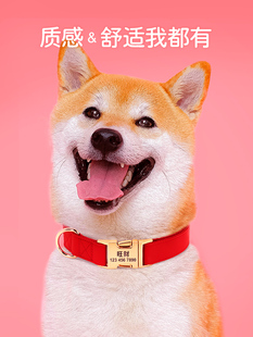物项项定皮拉狗柴犬革大毛犬狗拉圈圈字布宠金多标签制刻狗猎引牵