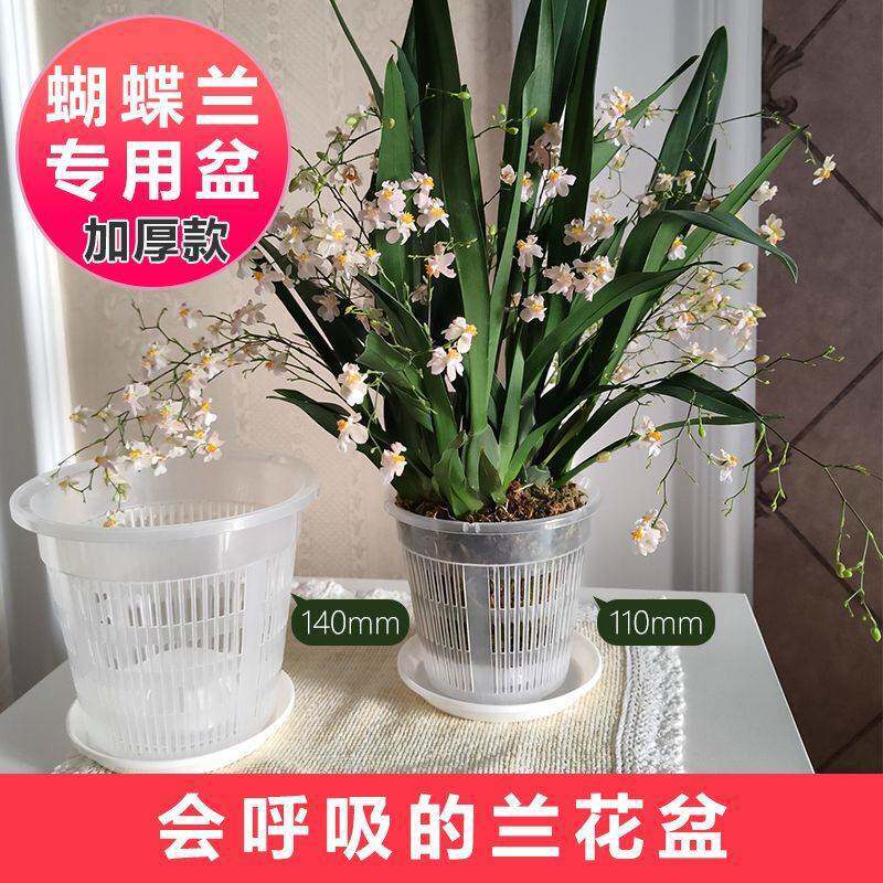 控根花盆专用镂空透气套盆适配等