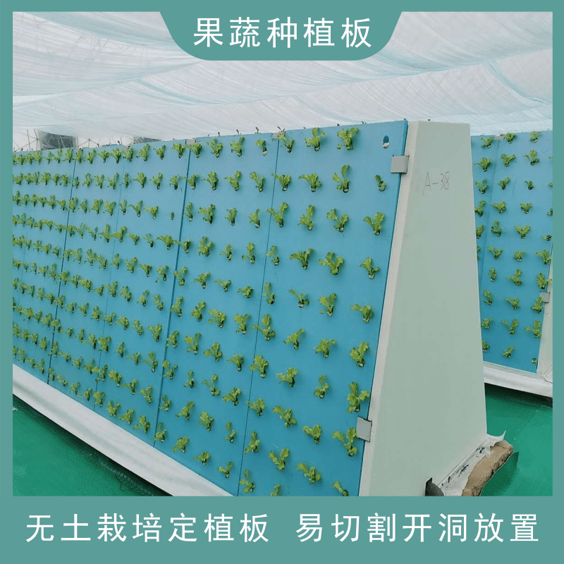 水稻种植浮床鱼塘水培漂浮板无土栽培蔬菜河流种植水稻定植漂浮板