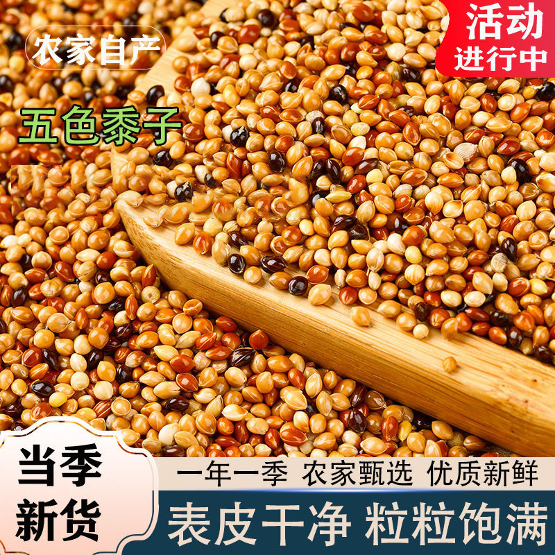 五色黍子新货鹦鹉原粮玄五色凤虎皮农产品混合专用粮杂粮