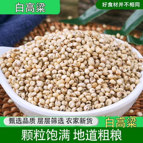 白高粱鸟食未脱皮鸟食