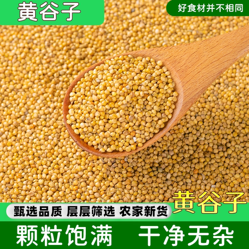 黄谷子带壳小米鸟粮鸟食鸟饲料