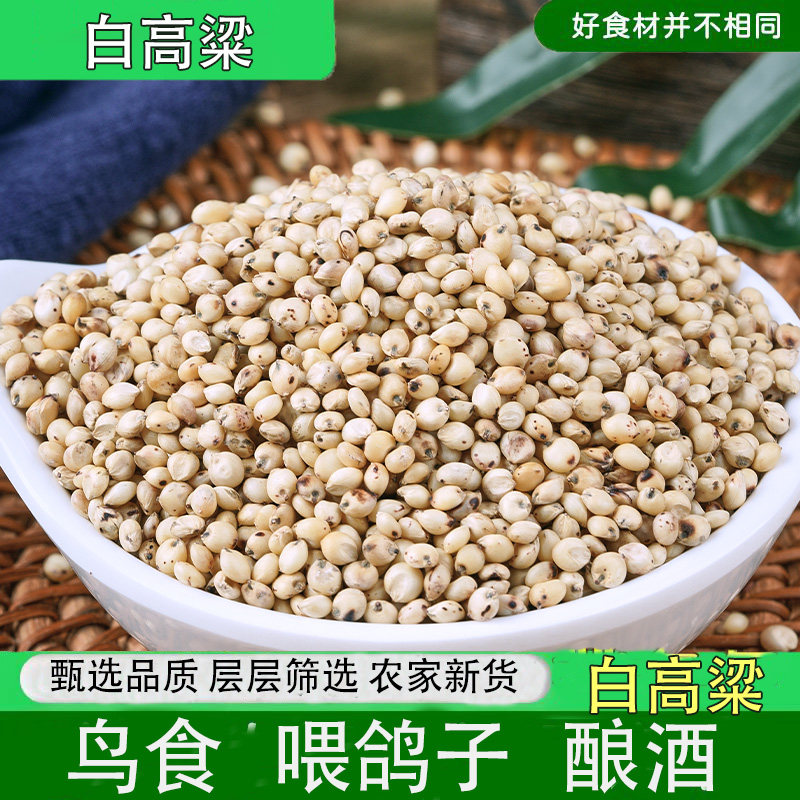白高粱带壳杂粮鹦鹉金丝雀鸽子优质新货5斤家禽饲料酿酒未脱皮