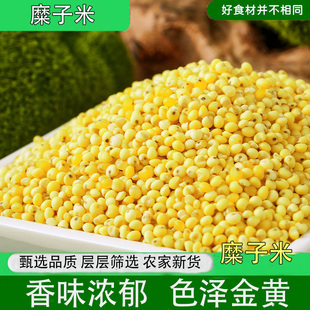 西北农家新货糜子米5斤硬米稷米粢米无粘性色泽金黄炒米摊黄原料