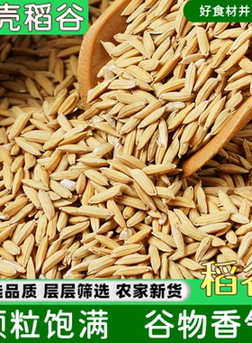 带壳稻谷谷子水稻稻子粮食杂粮大米喂鸡鸭鹅鸽鸟仓鼠宠物饲料农家