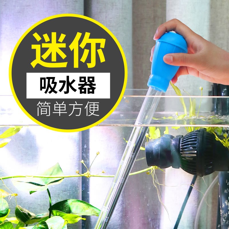 吸便手捏乌龟鱼屎换水迷你小型