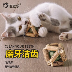 猫薄荷磨牙棒猫玩具木天蓼逗猫棒耐咬幼小猫玩具自嗨解闷猫咪用品