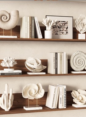 侘寂风中古海螺装饰品