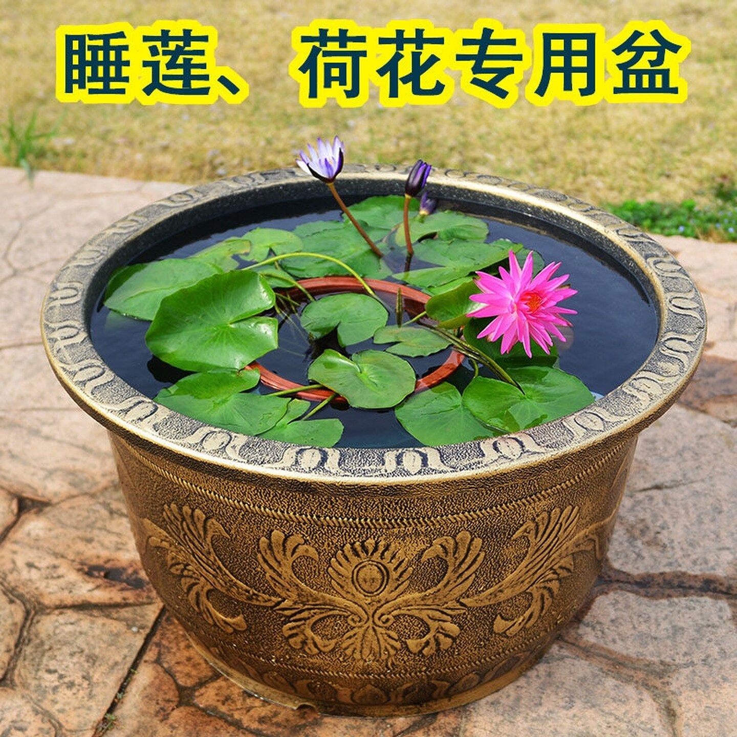 大花盆户外庭院特大号养睡莲荷花塑料加厚耐晒缸莲藕铜钱草水培碗