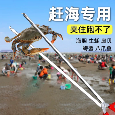 赶海专用夹子不锈钢黄鳝夹龙虾螃蟹防滑泥鳅加长火钳垃圾钳子小捡
