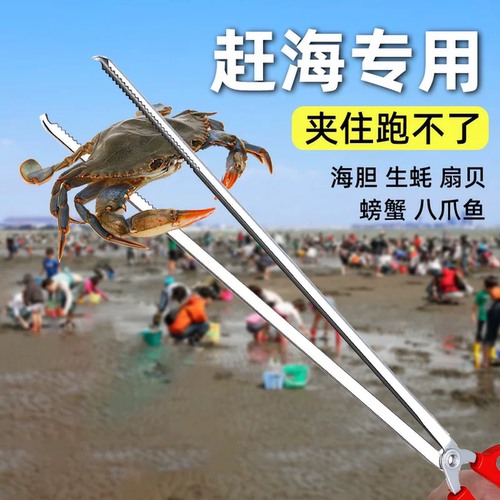 赶海专用夹子不锈钢黄鳝夹龙虾螃蟹防滑泥鳅加长火钳垃圾钳子小捡