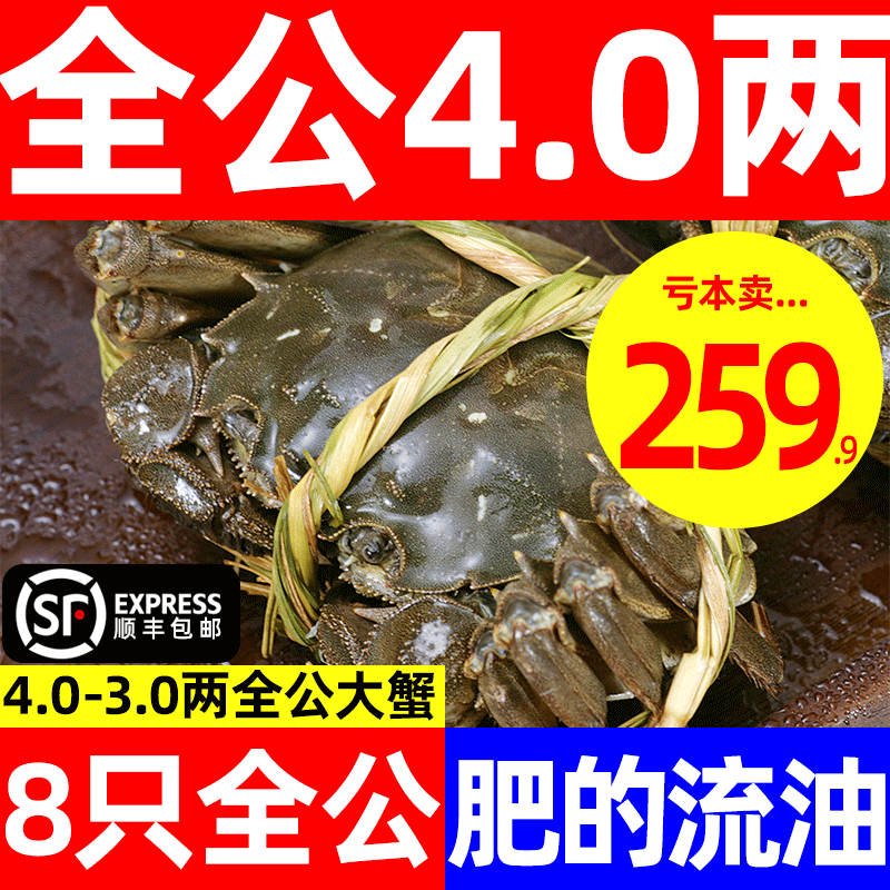 4.0两8只全公阳澄湖镇大闸蟹