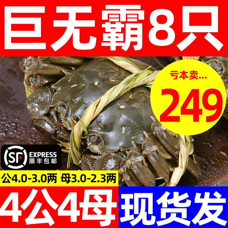 4.0两8只大闸蟹阳澄湖镇螃蟹河蟹