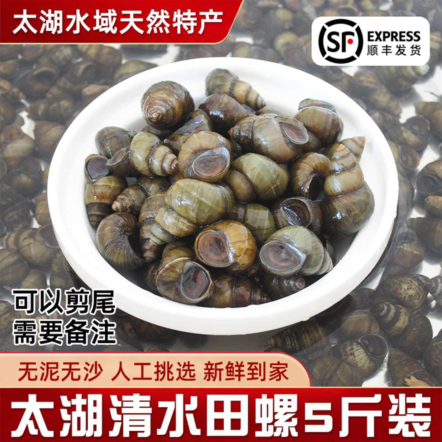 5斤装特大号清水田螺鲜活新鲜活体螺蛳去壳冷冻淡水产螺丝肉商用