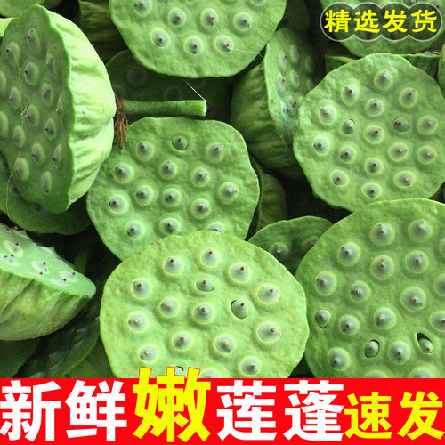 2026新鲜嫩莲蓬现摘莲子生吃水果