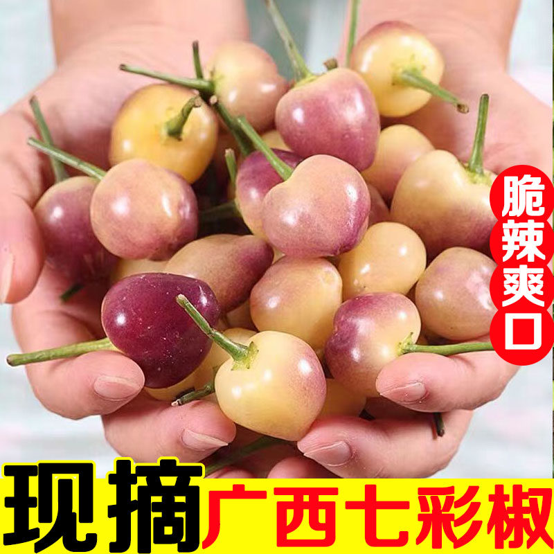 广西新鲜七彩辣椒泡椒特产小米辣椒7五彩椒个大果灯笼农家现摘5斤