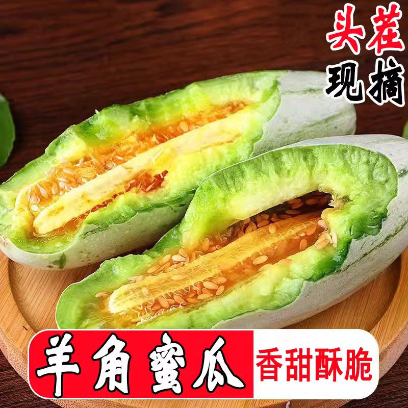 山东羊角蜜甜瓜新鲜5斤现货当季水果香瓜酥脆瓜10现摘包邮整箱