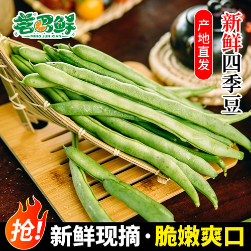 新鲜四季豆现摘时令蔬菜露天自种