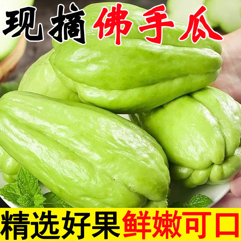云南佛手瓜新鲜的蔬菜扶福手瓜菱粉窝瓜葵瓜捧瓜洋瓜当季农家特产