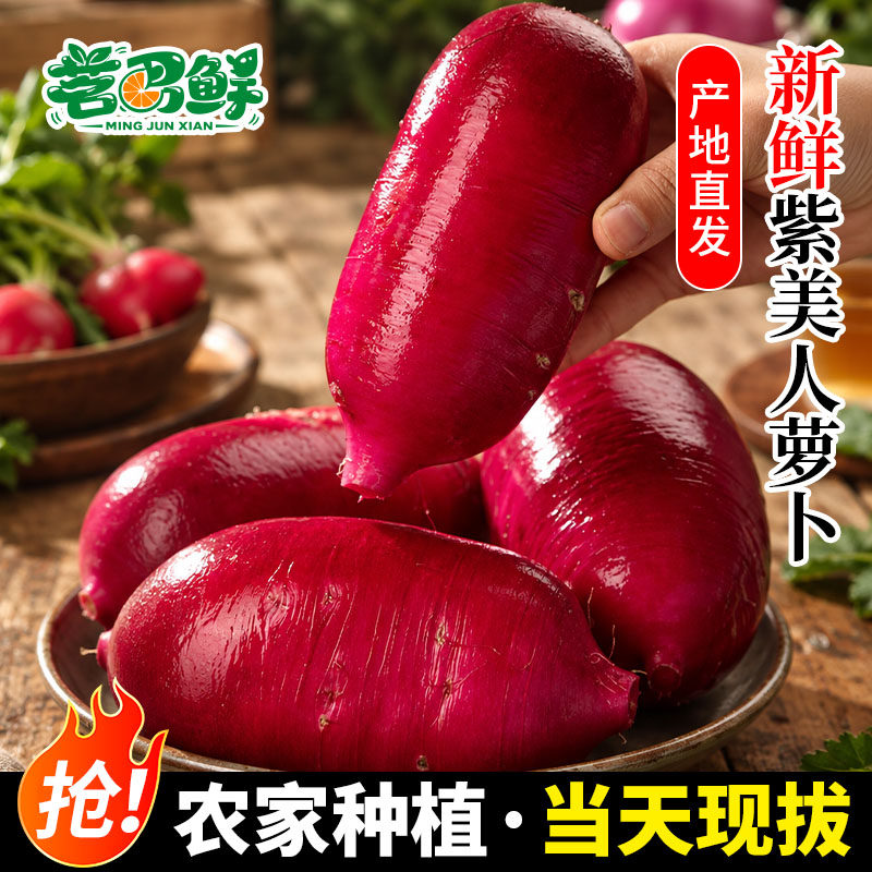 紫美人水果萝卜新鲜生吃心里美萝卜红皮红心凤梨萝卜正宗潍坊蔬菜
