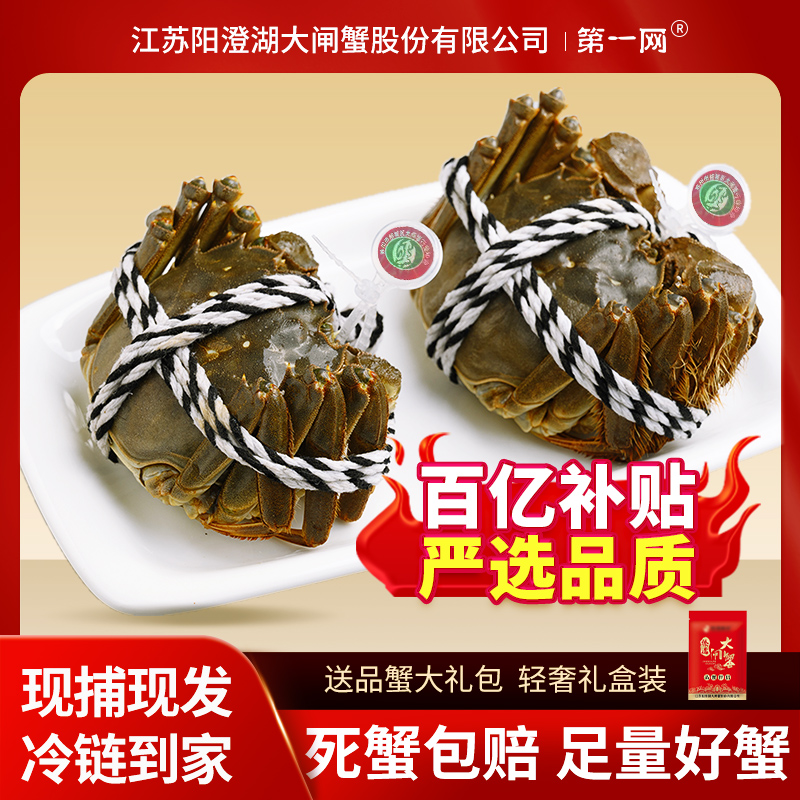 鲜活大闸蟹冷链包邮源头直发