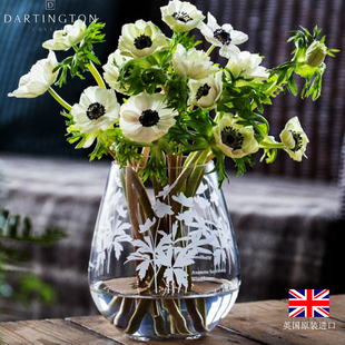 水养插花瓶 英国进口dartington高档水晶玻璃花瓶摆件家用客厅欧式