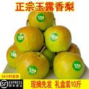 顺丰 正宗山西玉露香梨新鲜水果脆甜多汁精选一级果净重5斤9斤 包邮